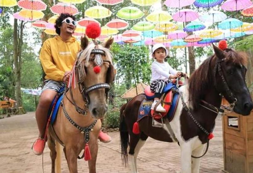 Курорт Lawu Forest Camp