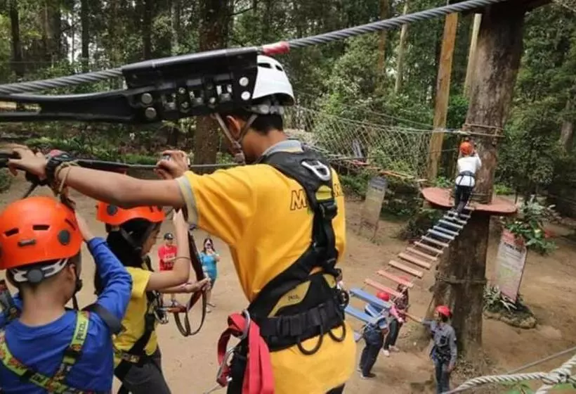 Lomakeskus Lawu Forest Camp