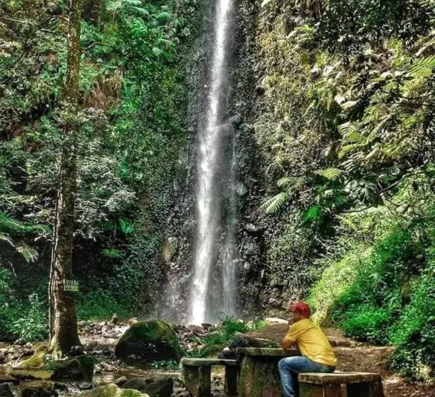 Lomakeskus Lawu Forest Camp