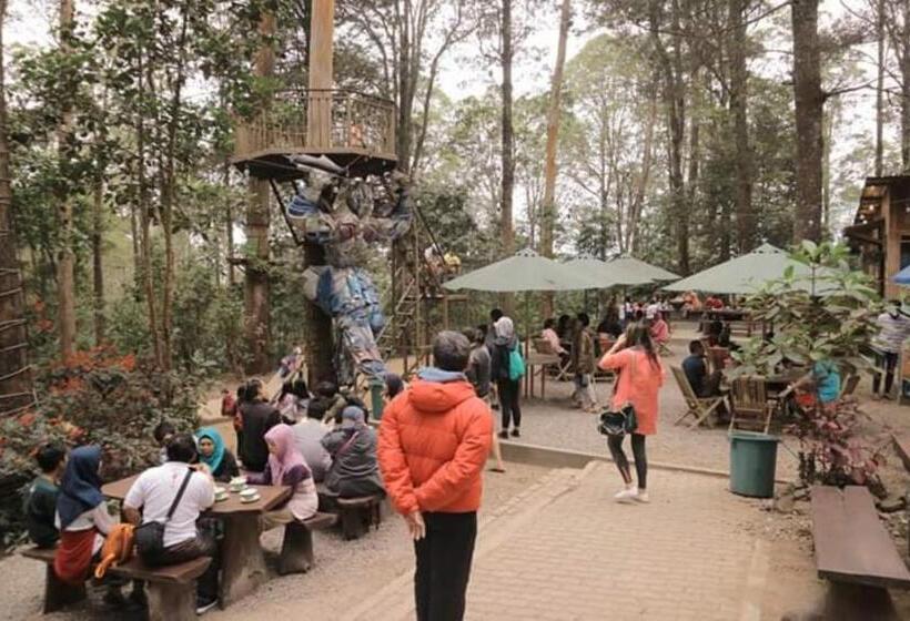 Курорт Lawu Forest Camp
