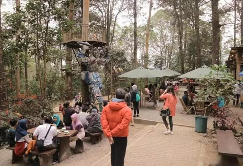 Lomakeskus Lawu Forest Camp