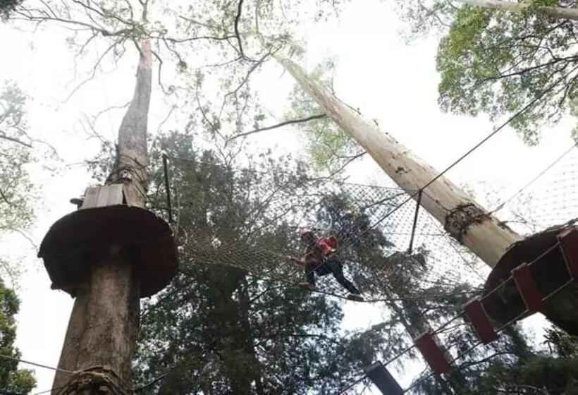 Lomakeskus Lawu Forest Camp