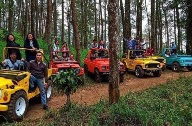 Курорт Lawu Forest Camp