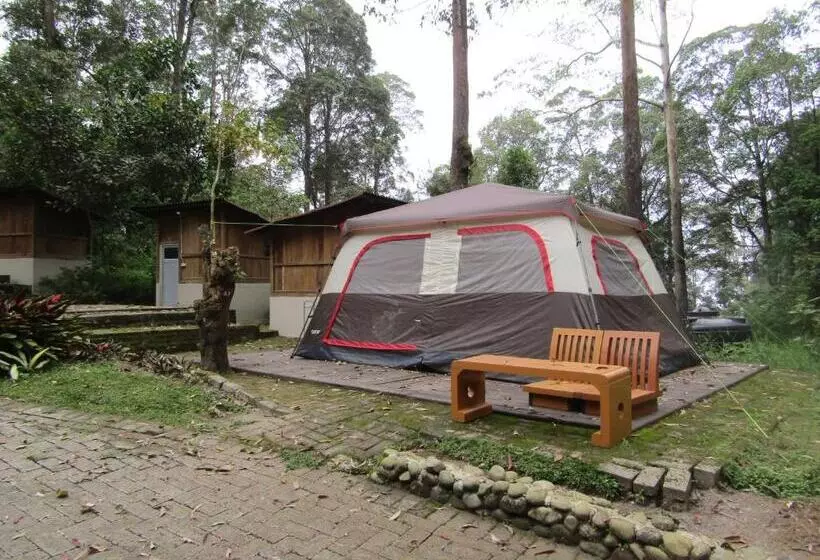 Lomakeskus Lawu Forest Camp