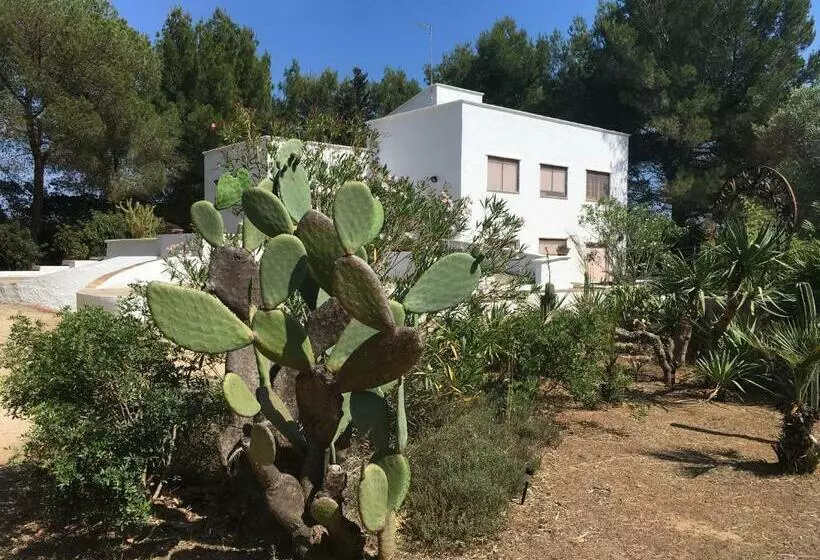 Aamiaismajoitus (B&B) I Due Pini