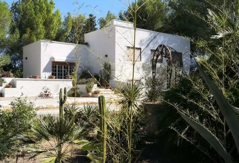 Aamiaismajoitus (B&B) I Due Pini