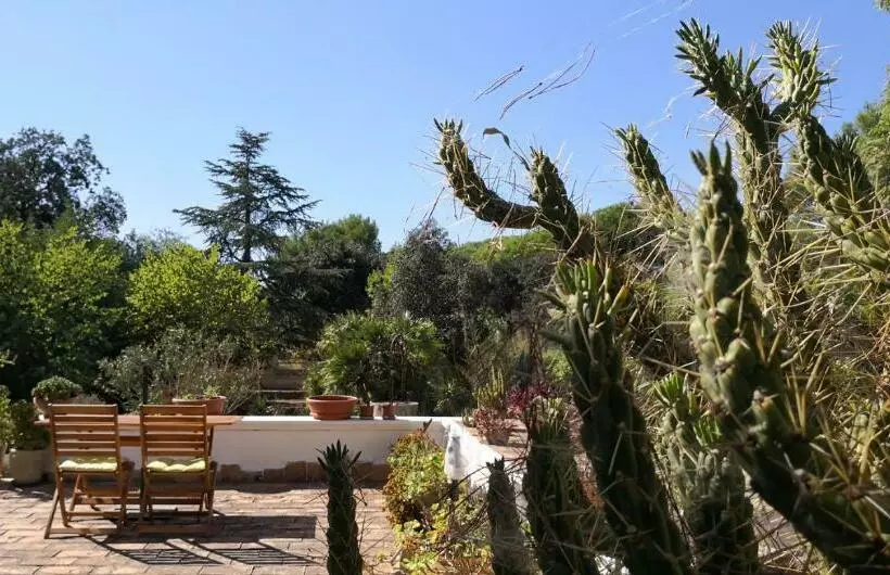 Aamiaismajoitus (B&B) I Due Pini