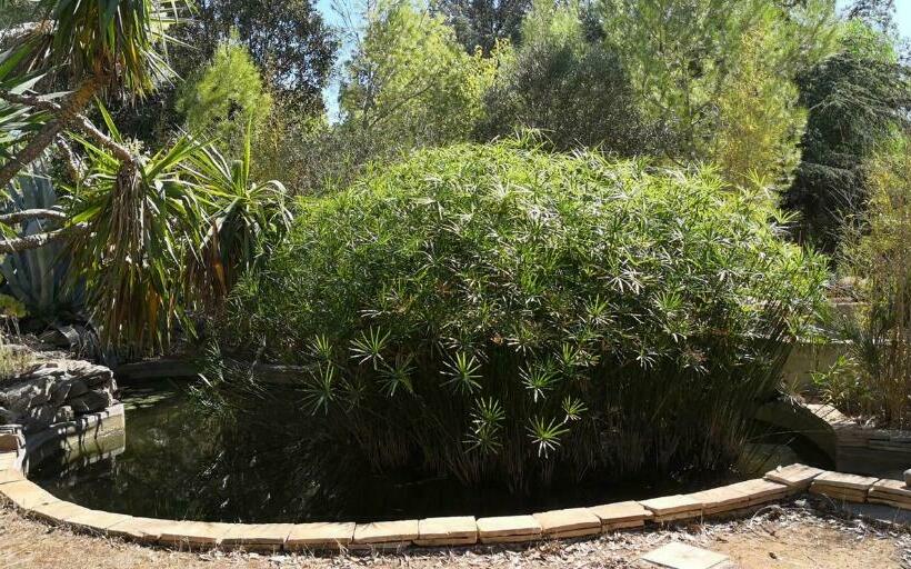 住宿加早餐 I Due Pini