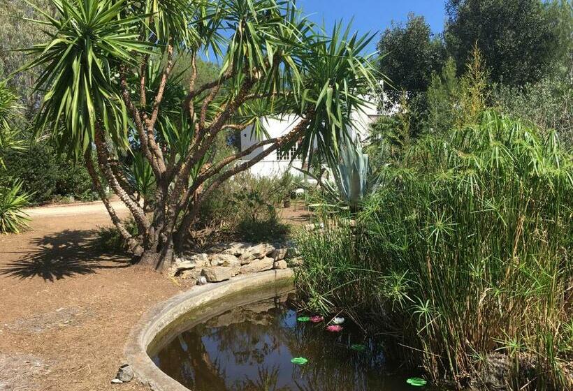 住宿加早餐 I Due Pini