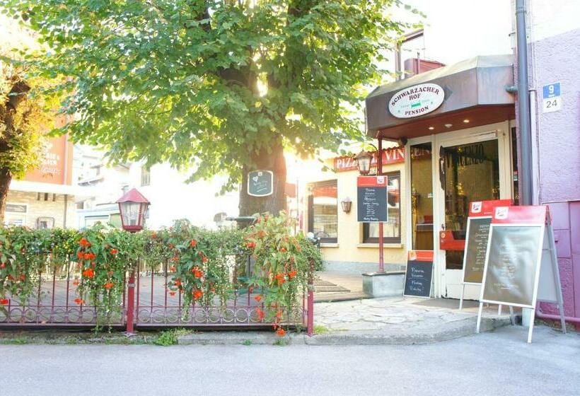 فندق Schwarzacherhof Pension & Apartments