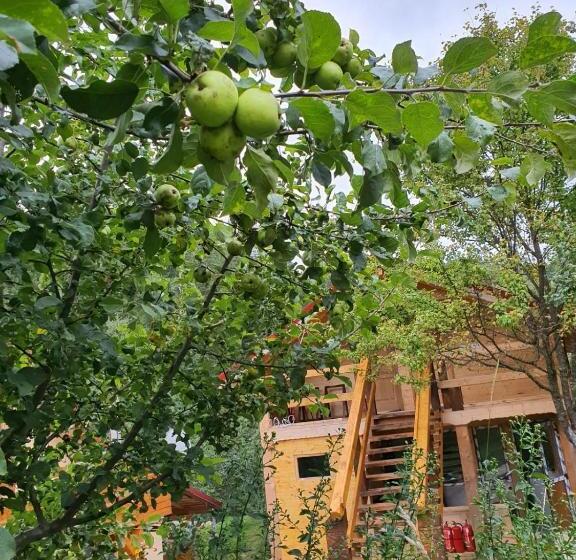 ペンション Forest Vibes Spa