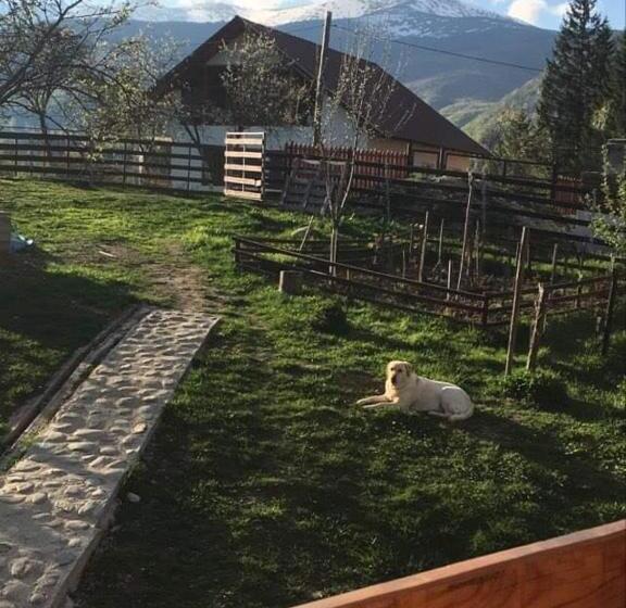 ペンション Forest Vibes Spa