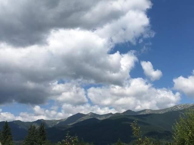 ペンション Forest Vibes Spa