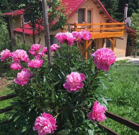 ペンション Forest Vibes Spa