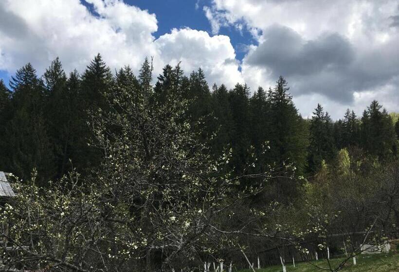 ペンション Forest Vibes Spa