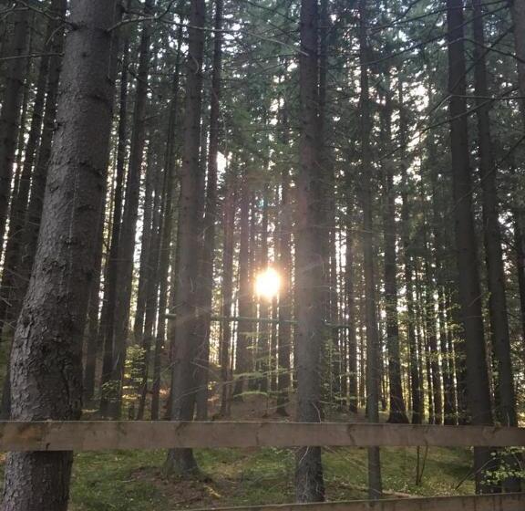 ペンション Forest Vibes Spa