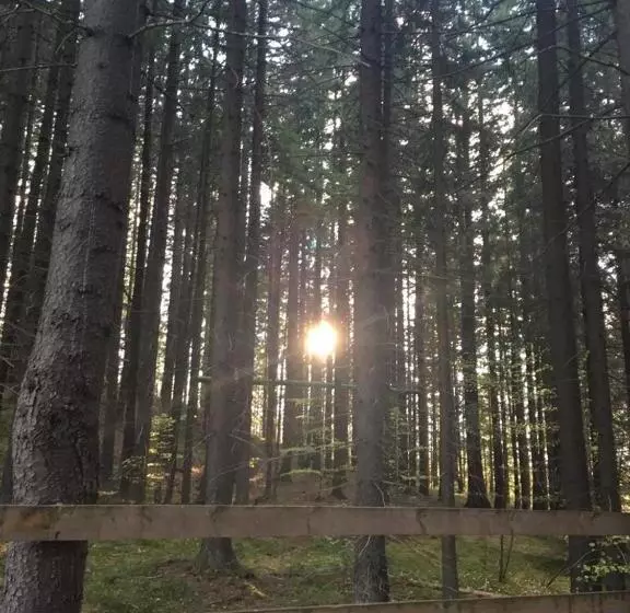 ペンション Forest Vibes Spa