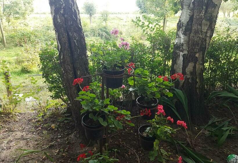 펜션 De Zeilende Kraay