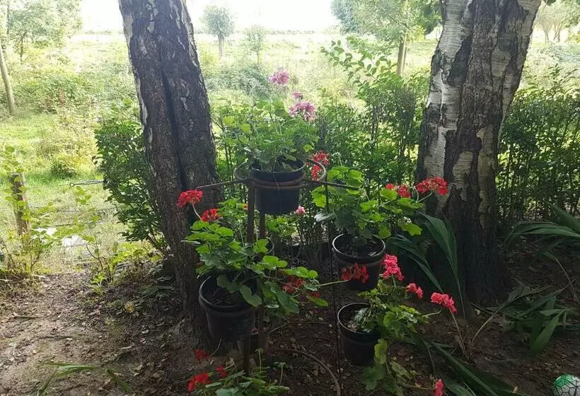 Pension De Zeilende Kraay