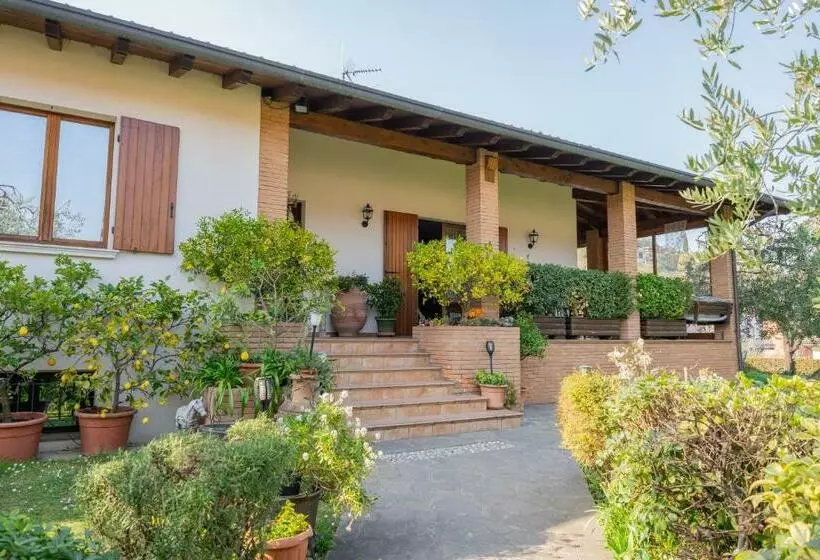 Ulivi B&b