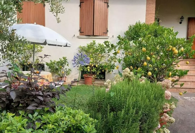 Ulivi B&b