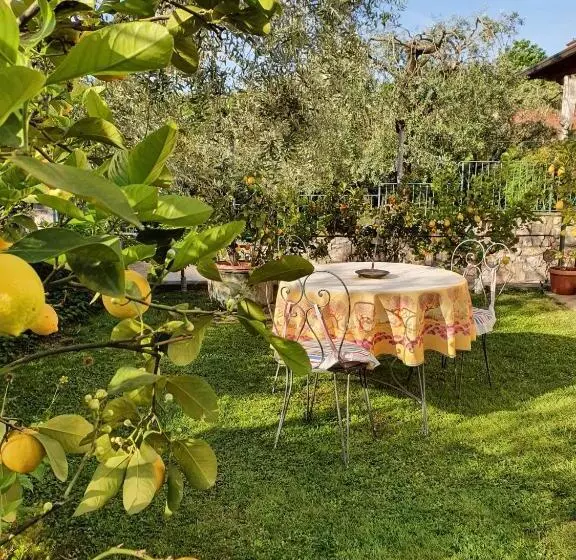 Ulivi B&b