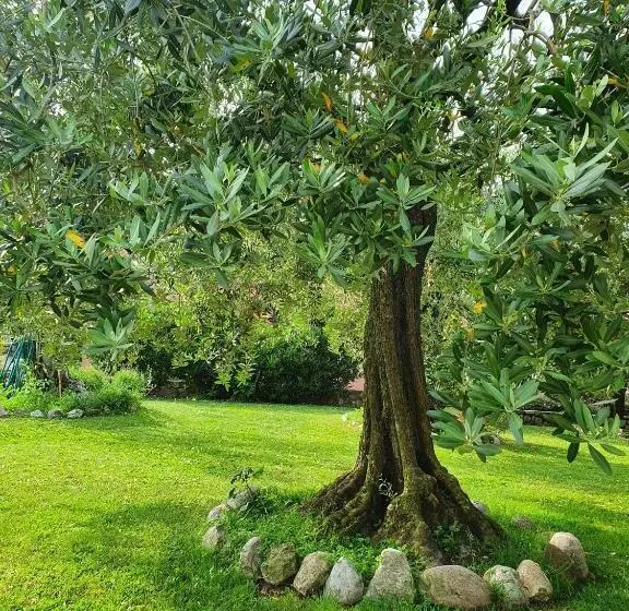 Ulivi B&b