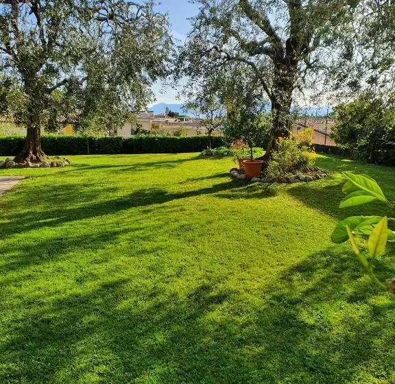 Ulivi B&b