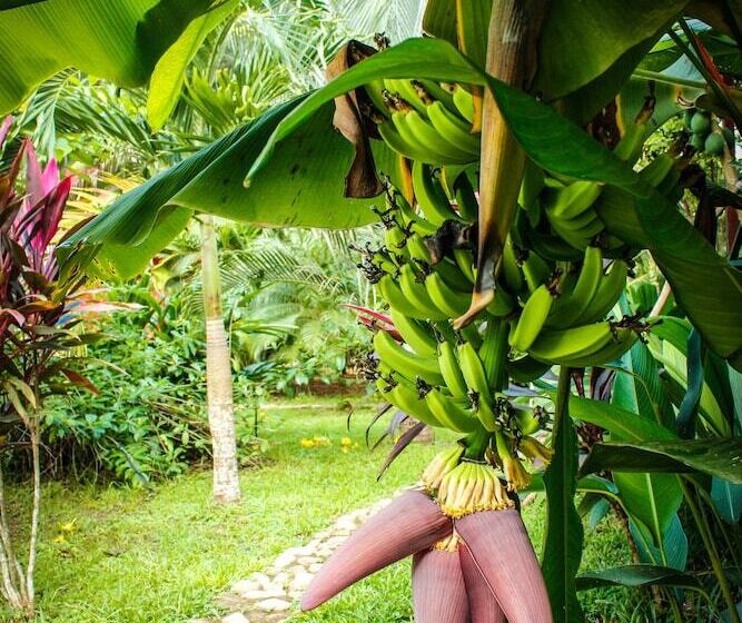 בית מלון כפרי Casacolores