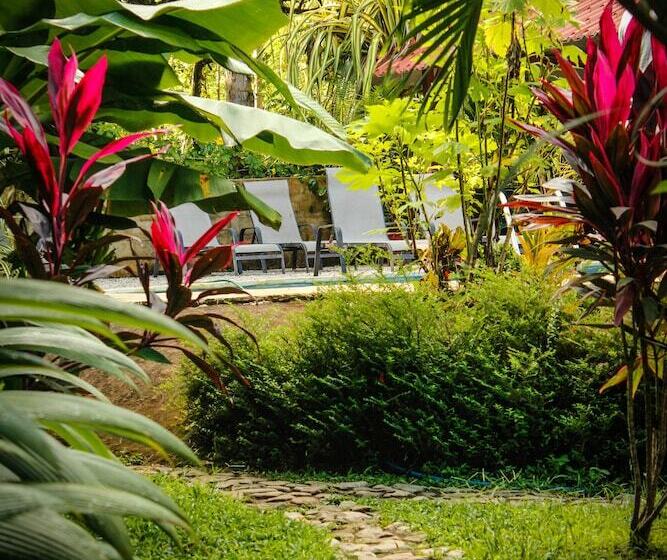 בית מלון כפרי Casacolores