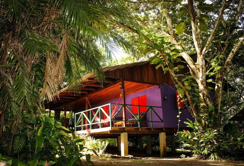 בית מלון כפרי Casacolores