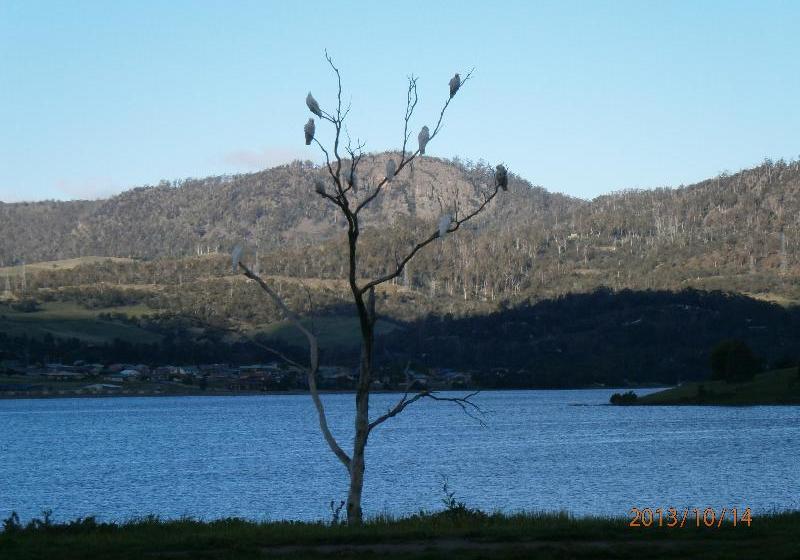 فندق Derwent Retreat