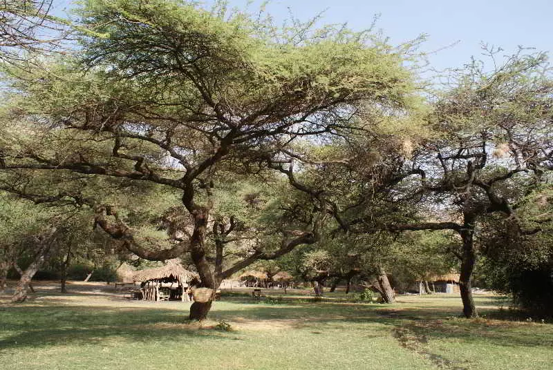 Lake Natron Tented Camp