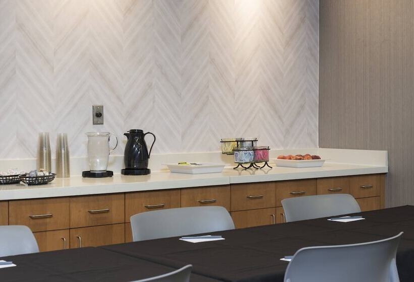 Отель Springhill Suites Detroit Auburn Hills