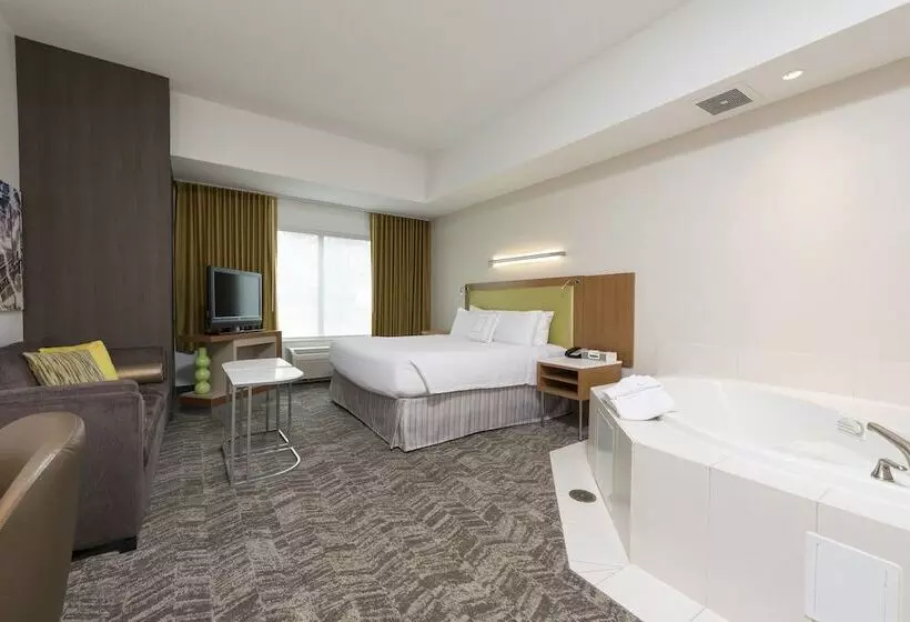 酒店 Springhill Suites Detroit Auburn Hills