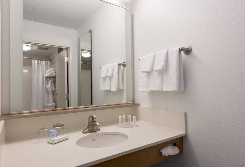 Отель Springhill Suites Detroit Auburn Hills