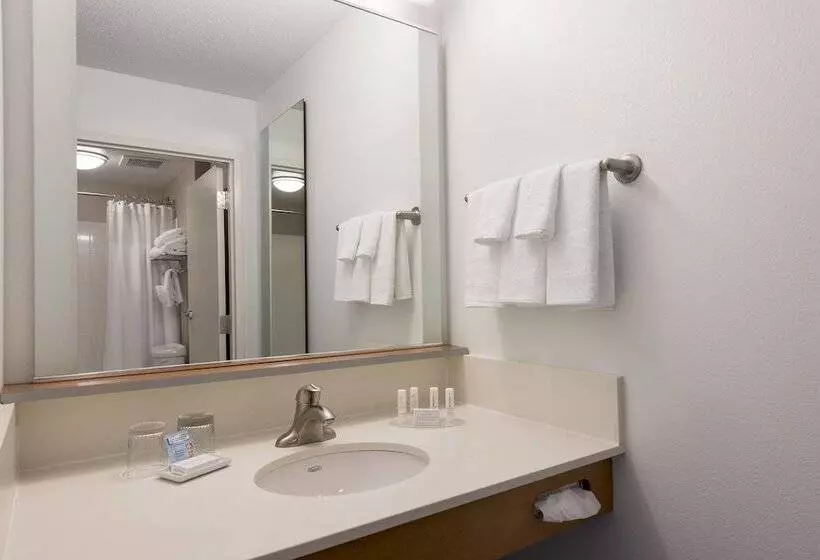 酒店 Springhill Suites Detroit Auburn Hills