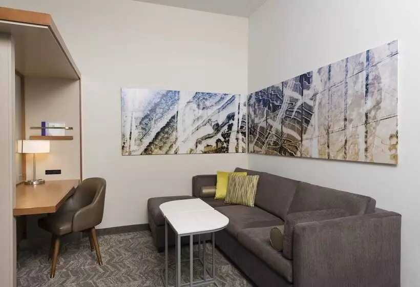 酒店 Springhill Suites Detroit Auburn Hills