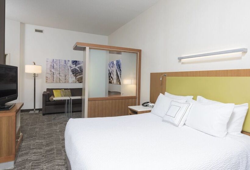 Отель Springhill Suites Detroit Auburn Hills