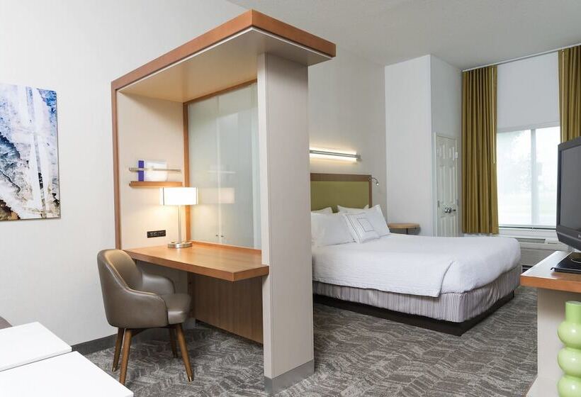 Отель Springhill Suites Detroit Auburn Hills