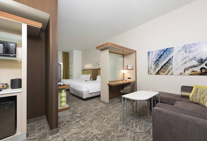 Отель Springhill Suites Detroit Auburn Hills