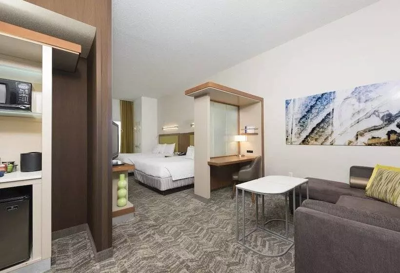 酒店 Springhill Suites Detroit Auburn Hills