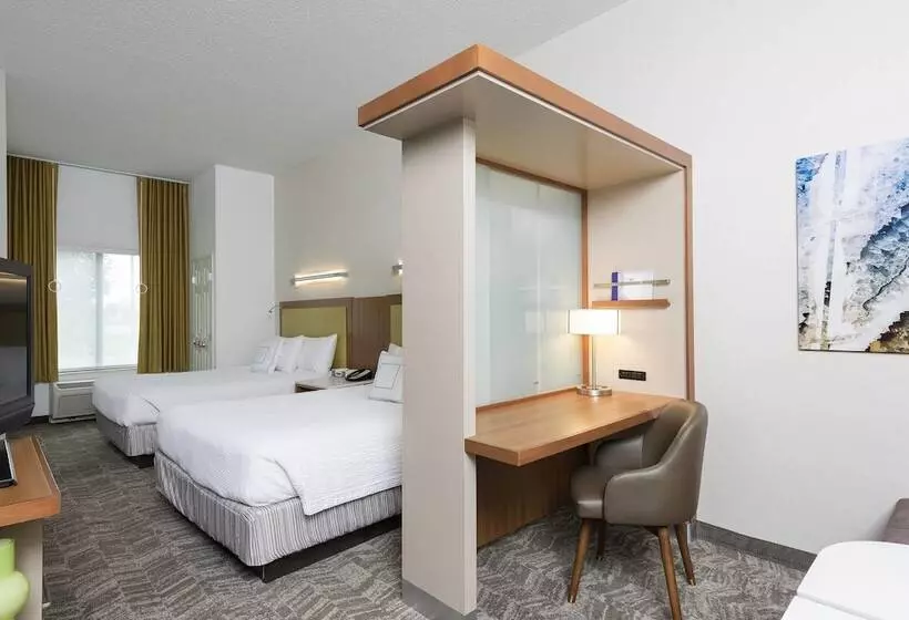 酒店 Springhill Suites Detroit Auburn Hills
