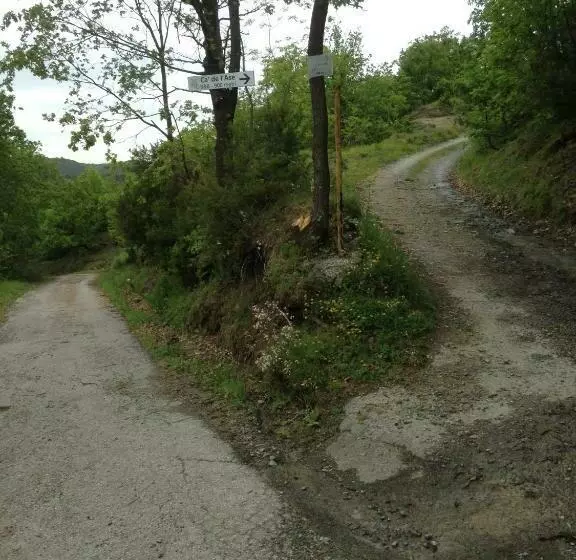 ベッドアンドブレックファースト Ca  De L Ase