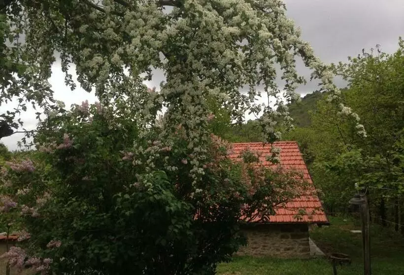 ベッドアンドブレックファースト Ca  De L Ase