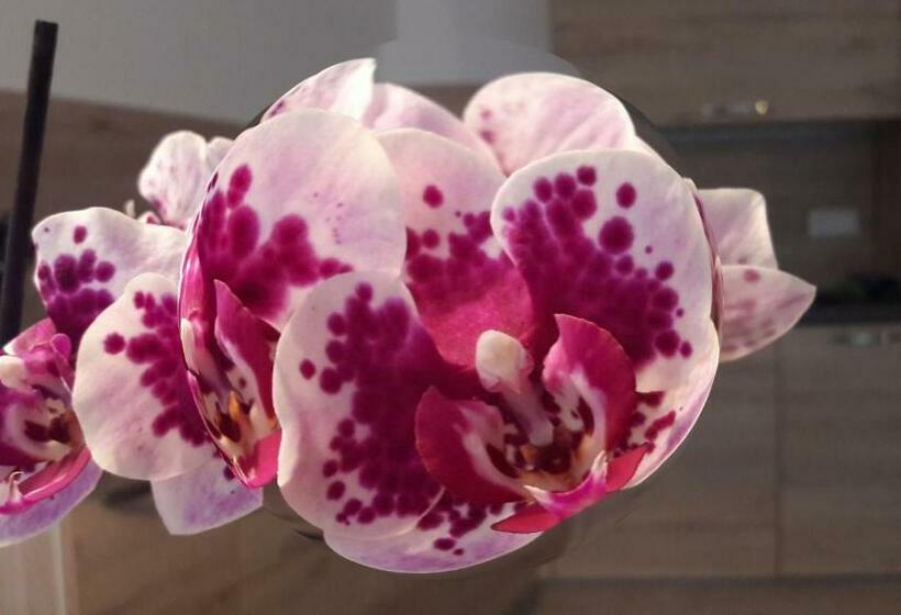 مبيت وإفطار Garni Karlegger