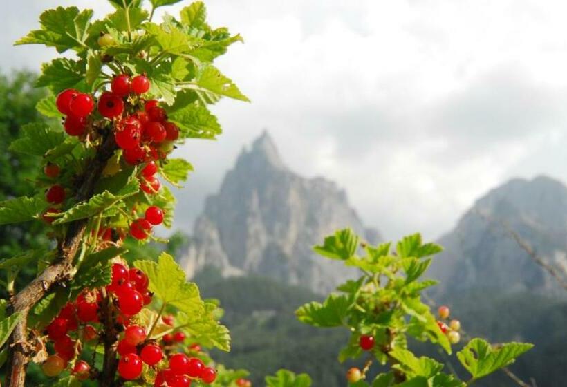 مبيت وإفطار Garni Karlegger