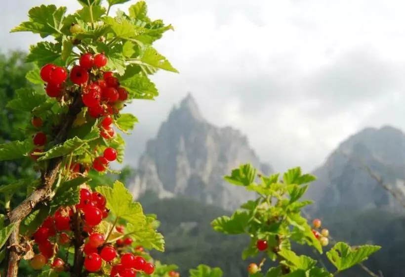 Aamiaismajoitus (B&B) Garni Karlegger