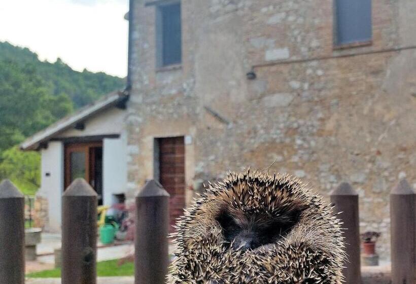 민박 La Tana Del Riccio