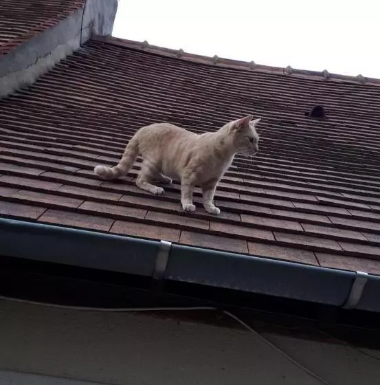 Aamiaismajoitus (B&B) Valérie Gouffé